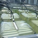 Membrane Bioreactor (MBR) – Redefining Wastewater Treatment for a Sustainable Future